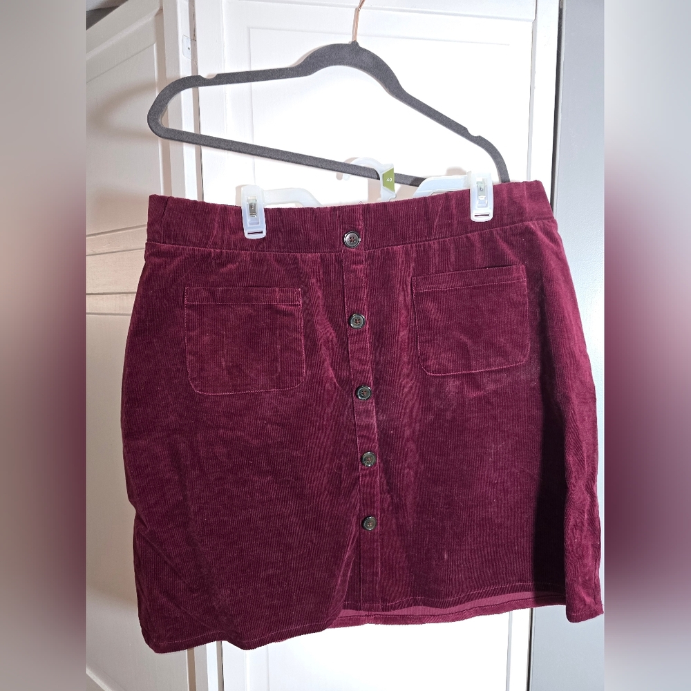 Torrid Size 2 skirt